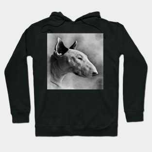 Bull terrier Hoodie